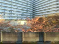 京王電鉄高尾線狭間→高尾　2013年11月21日