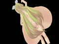 超乳ロングヘアーリンでハイファイレイバー